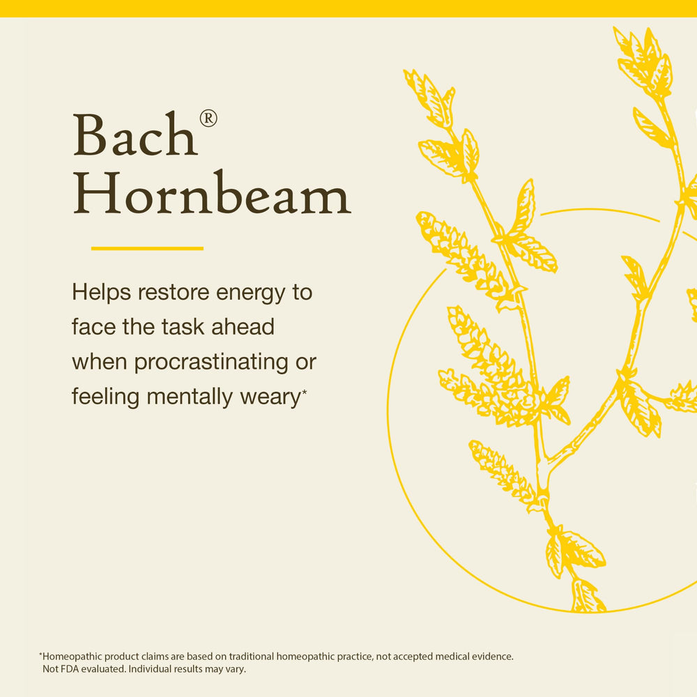 Bach Original Flower Remedies collection concept image