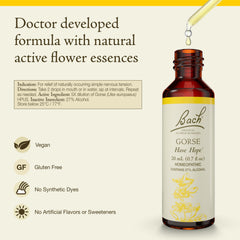 Close-up of Gorse flower remedy bottle with dropper