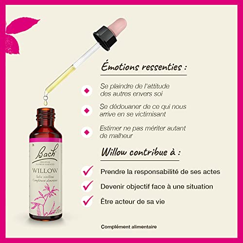 Original Bach Flower Remedies concept illustration
