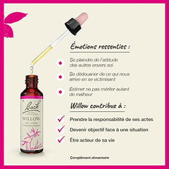 Original Bach Flower Remedies concept illustration
