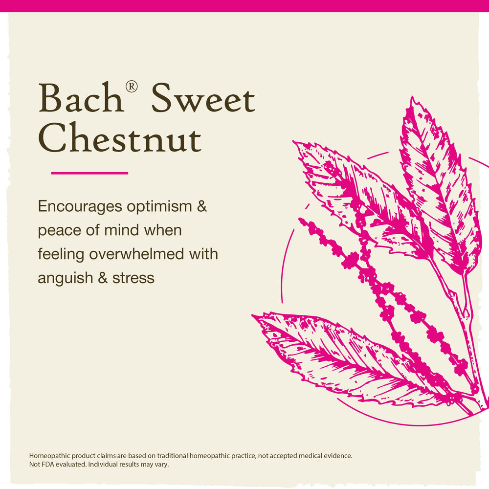 Bach Original Flower Remedies Sweet Chestnut product image