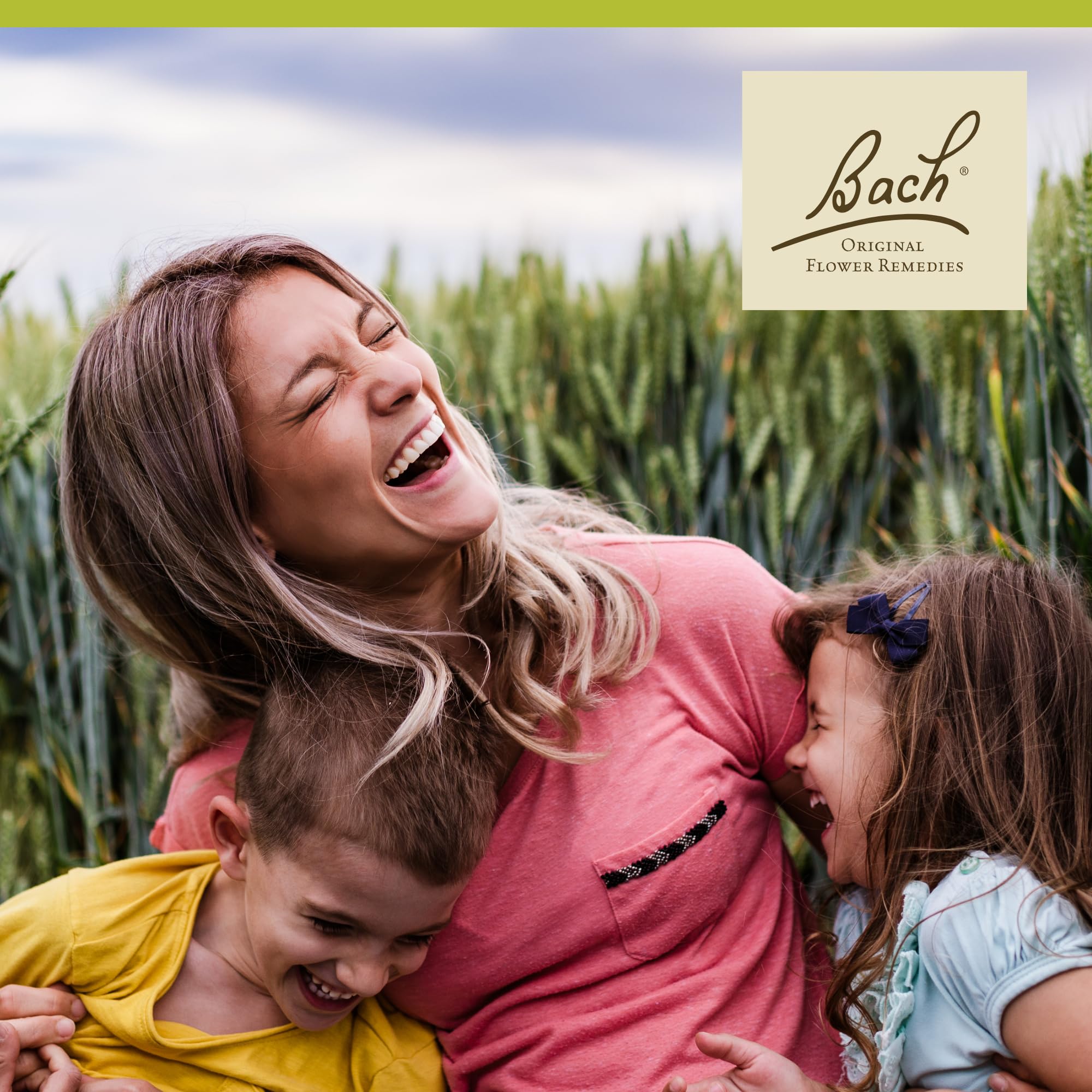 Calm and balanced lifestyle with Wild Rose remedy