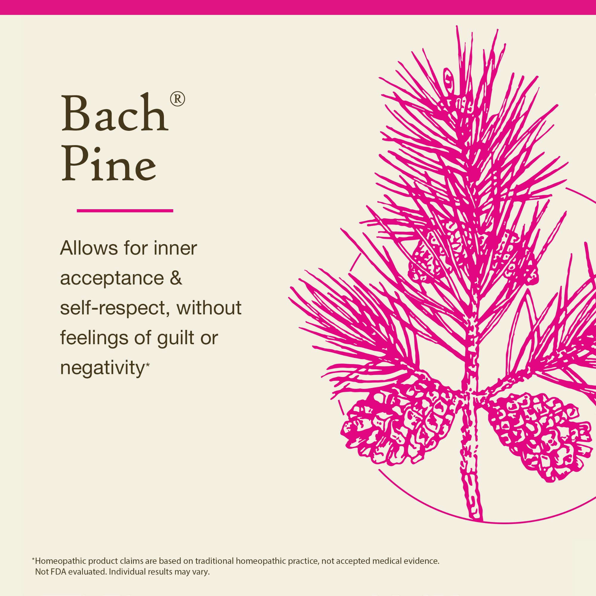 Close-up of Pine Flower Remedy packaging