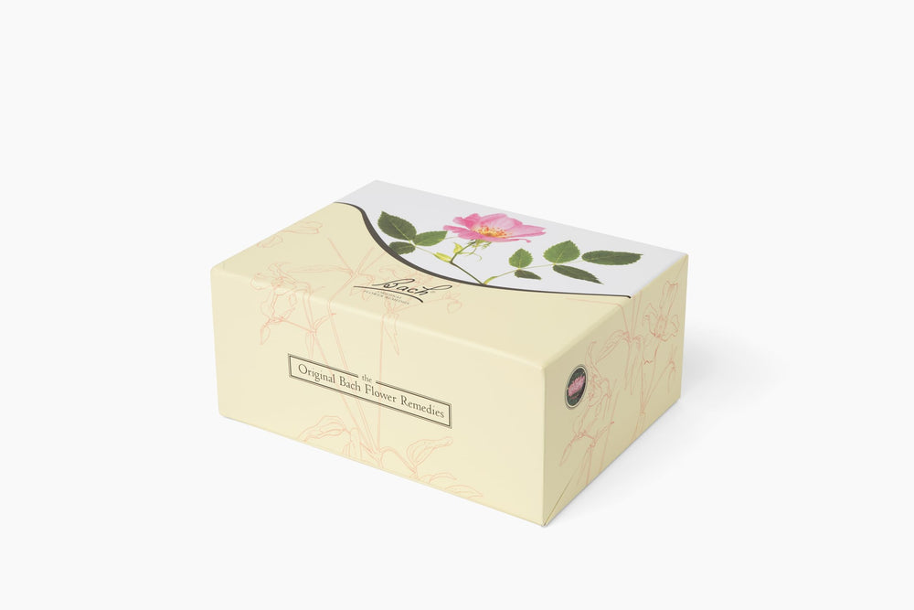 Rescue Remedy drops in non-alcohol formula, 10mL