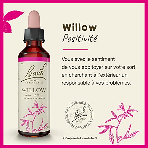 Willow flower remedy for emotional balance