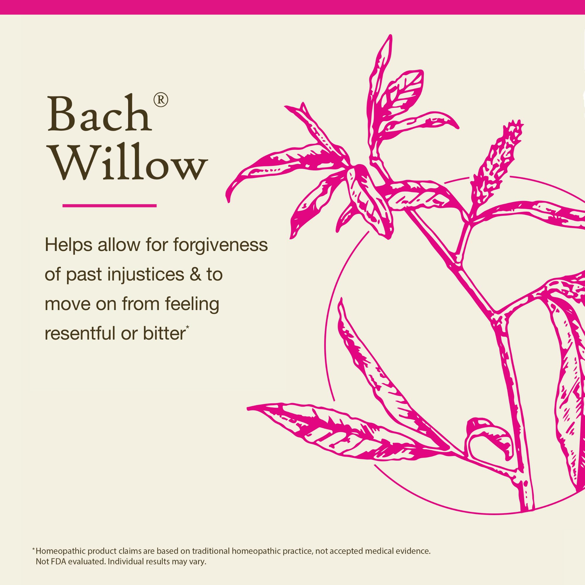 Willow flower remedy bottle with dropper