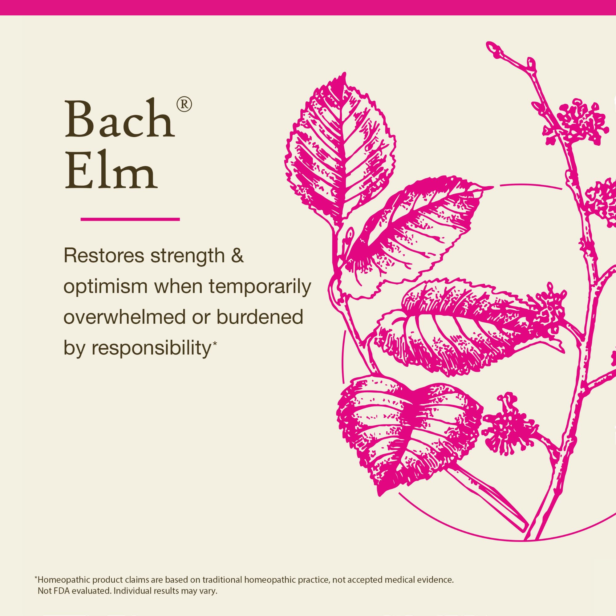 Dropper releasing two drops from Elm remedy