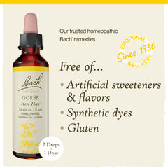 Vegan gluten-free sugar-free Bach Gorse ingredients