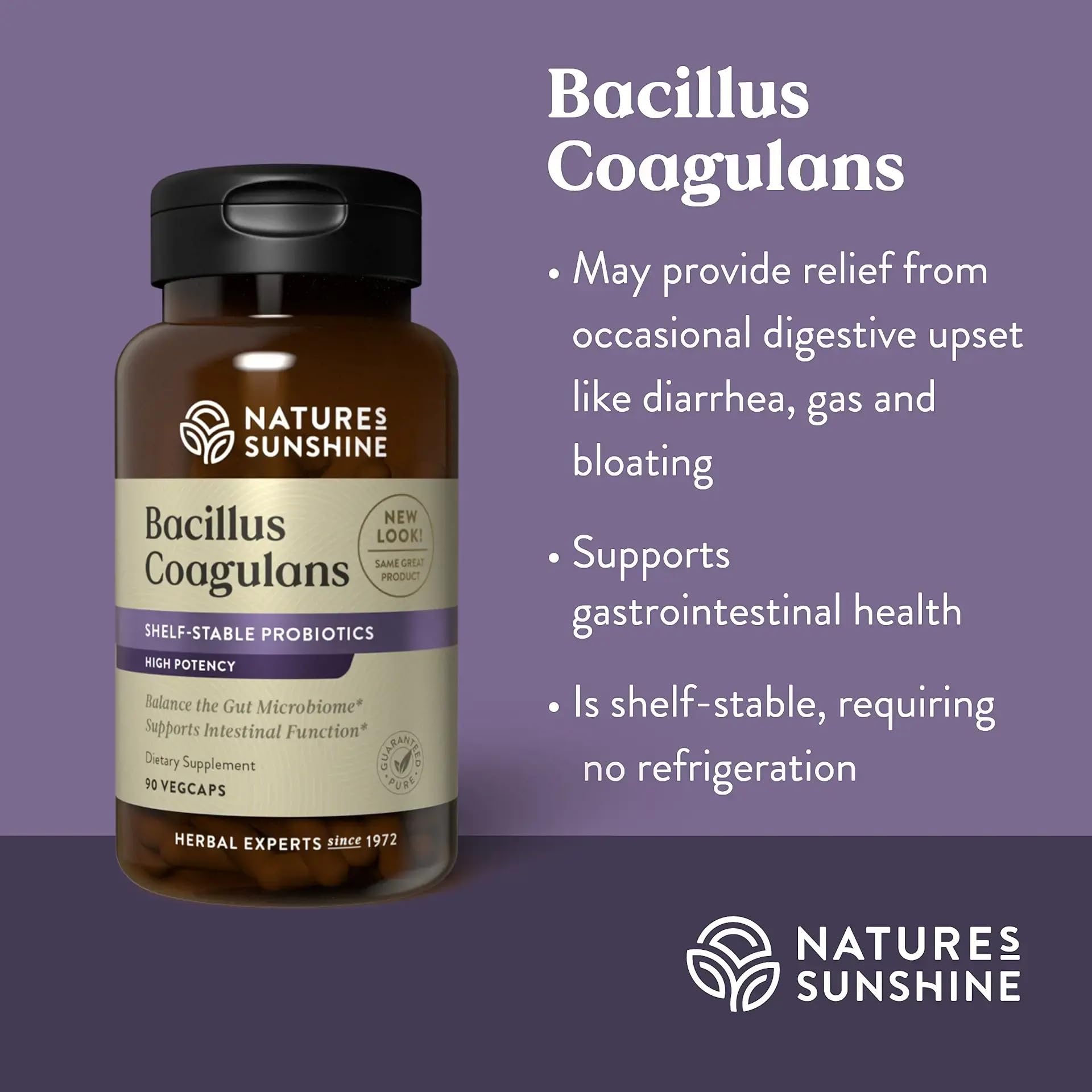 Bacillus Coagulans probiotic for gut health and digestion support