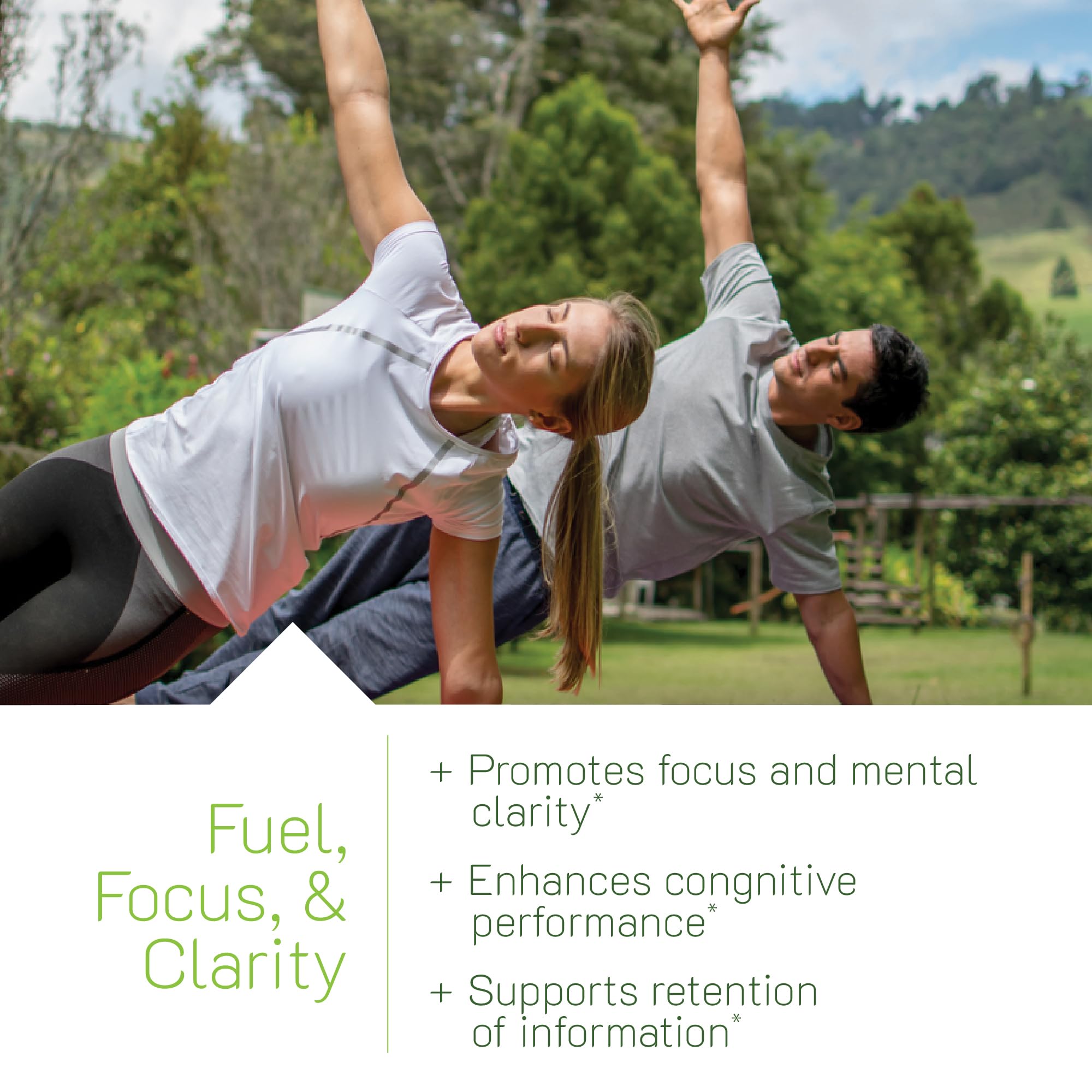 Banner highlighting L-Theanine, Bacopa and MCTs ingredients