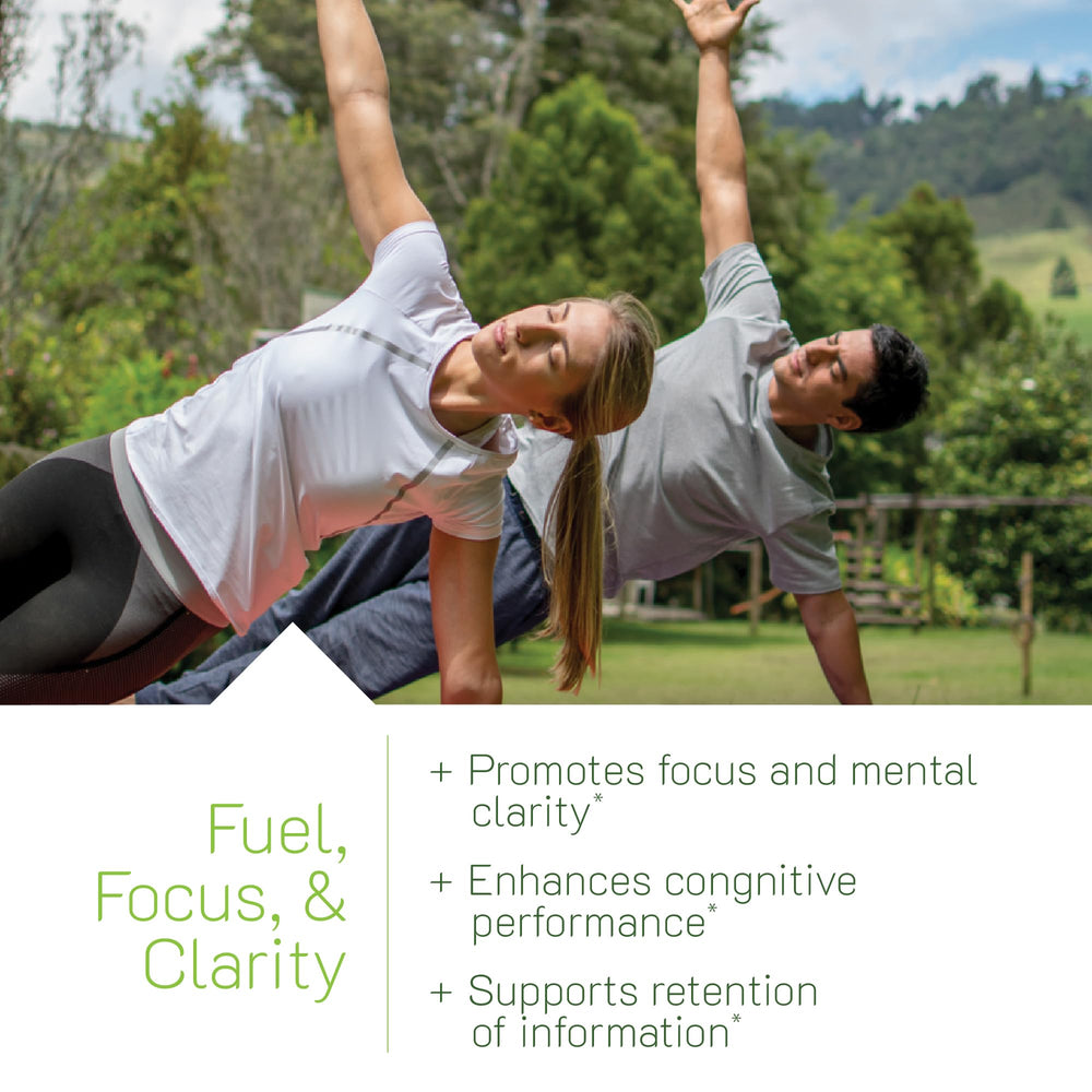 Banner highlighting L-Theanine, Bacopa and MCTs ingredients