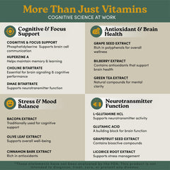 Close-up of Bacopa Monnieri nootropic capsules