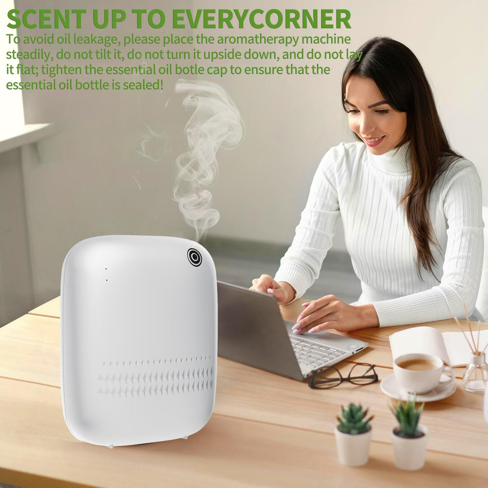 Baieshiji Portable diffuser for simple setup and maintenance.