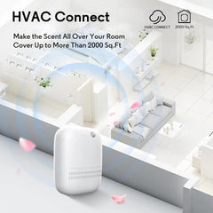 White Tea Harmony essential oil bottle included with diffuser