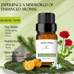 BAIESHIJI Wandering Breeze water-clarity note elevates space with clarity