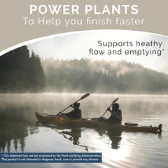 Saw Palmetto and other plant-based ingredients used in Balanced Vibe Prostate Supplement