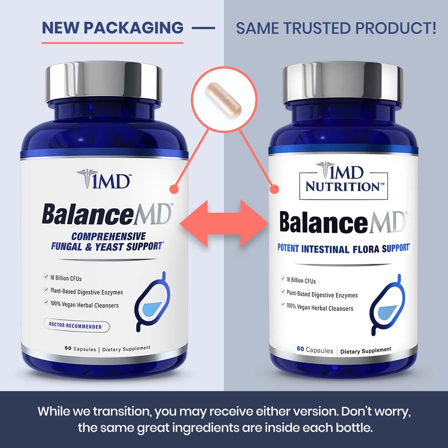 Lactobacillus illustration representing probiotic blend