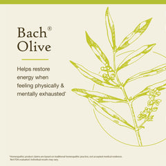Olive Bach flower remedy for emotional balance