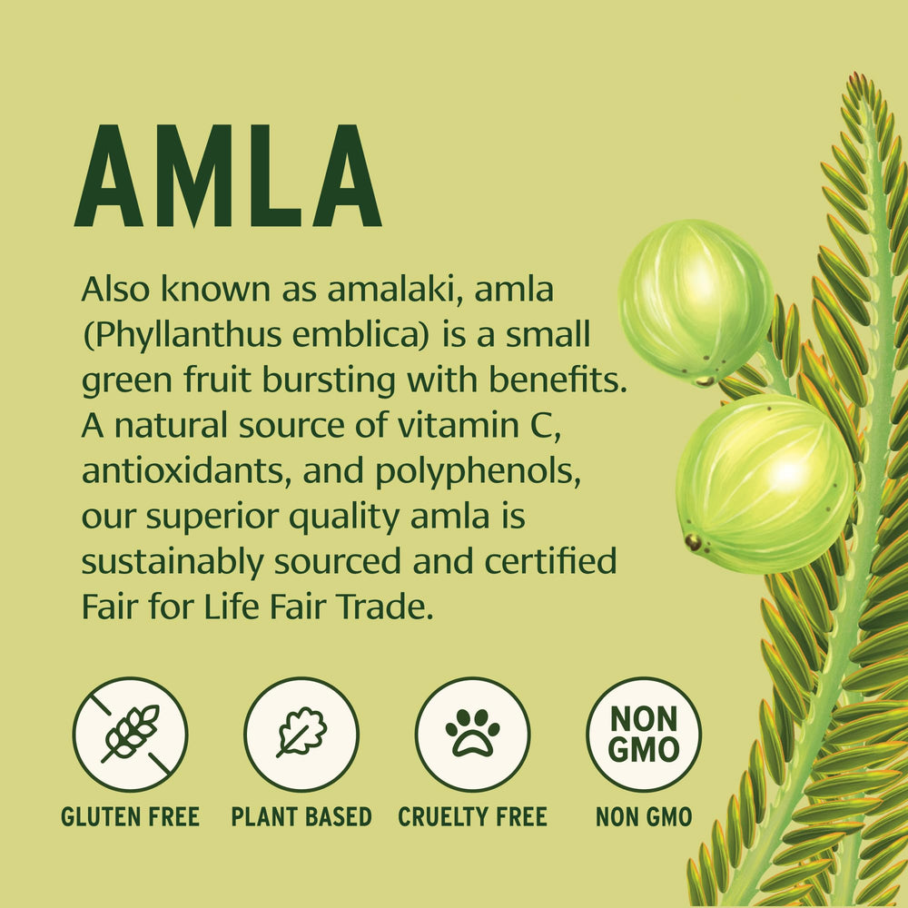 Dried amla fruit used to make powder