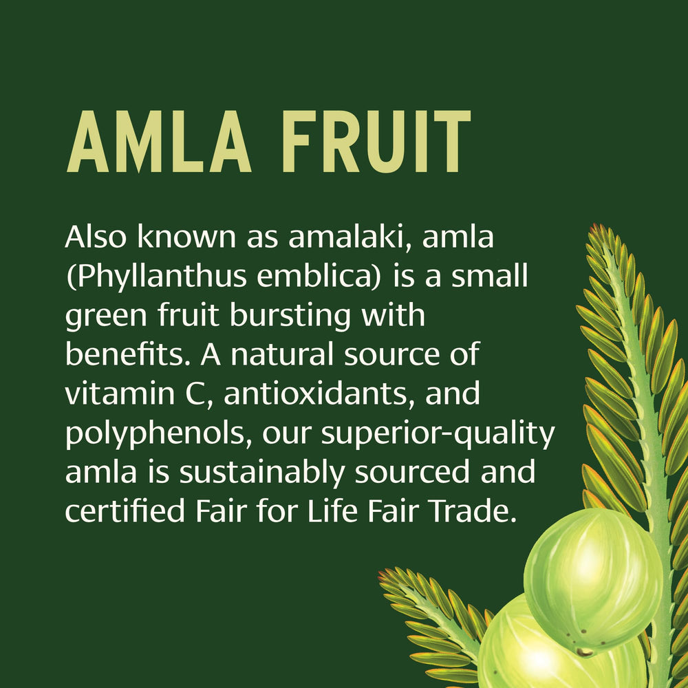 Illustration of Emblica Officinalis (Amla) ingredient
