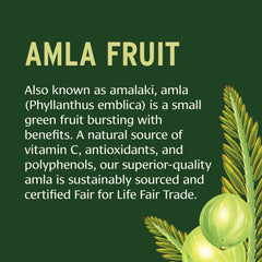 Illustration of Emblica Officinalis (Amla) ingredient