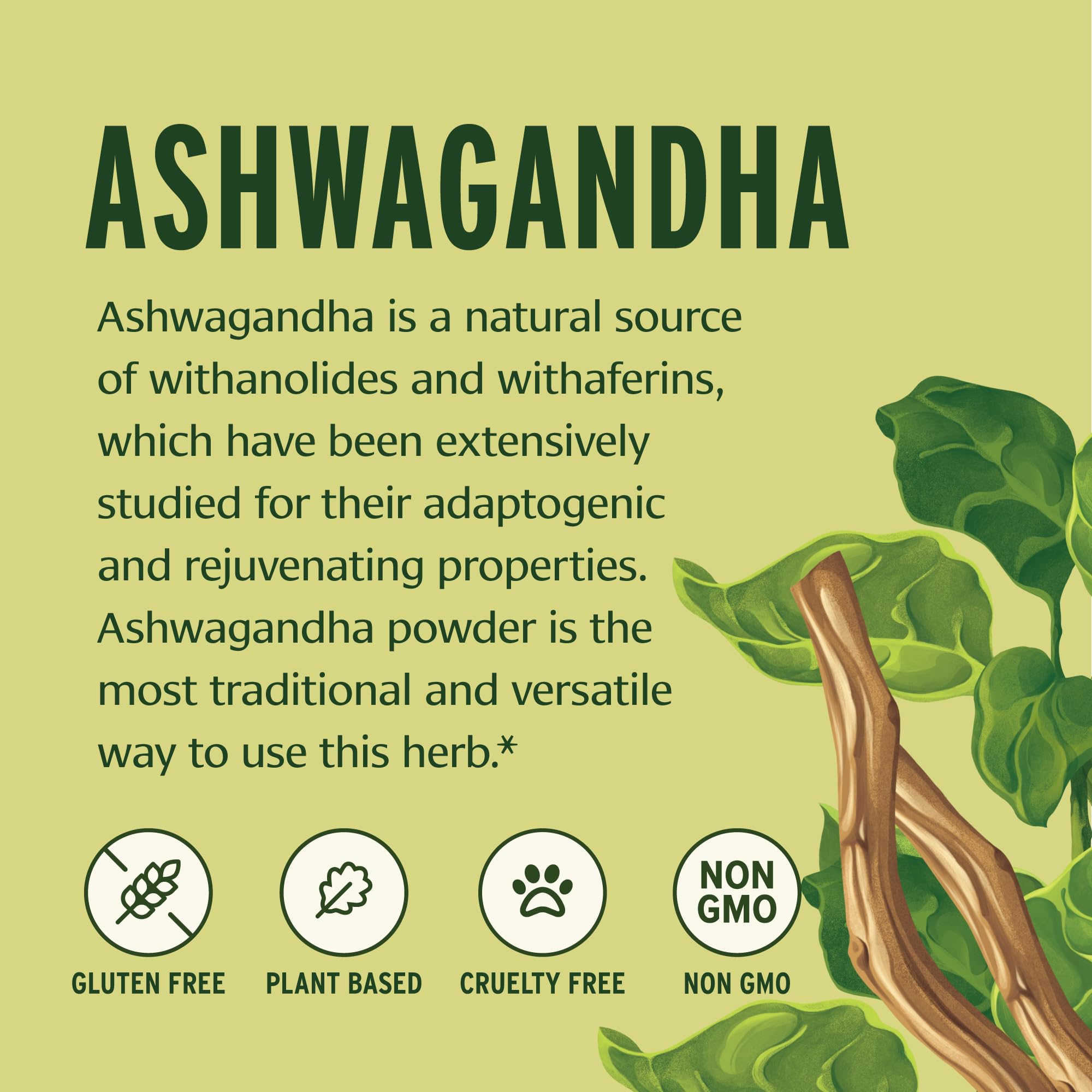 Close-up of Banyan Botanicals Ashwagandha Powder jar