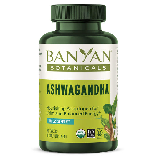 Banyan Botanicals Ashwagandha Tablets bottle – 180 count (hero image)