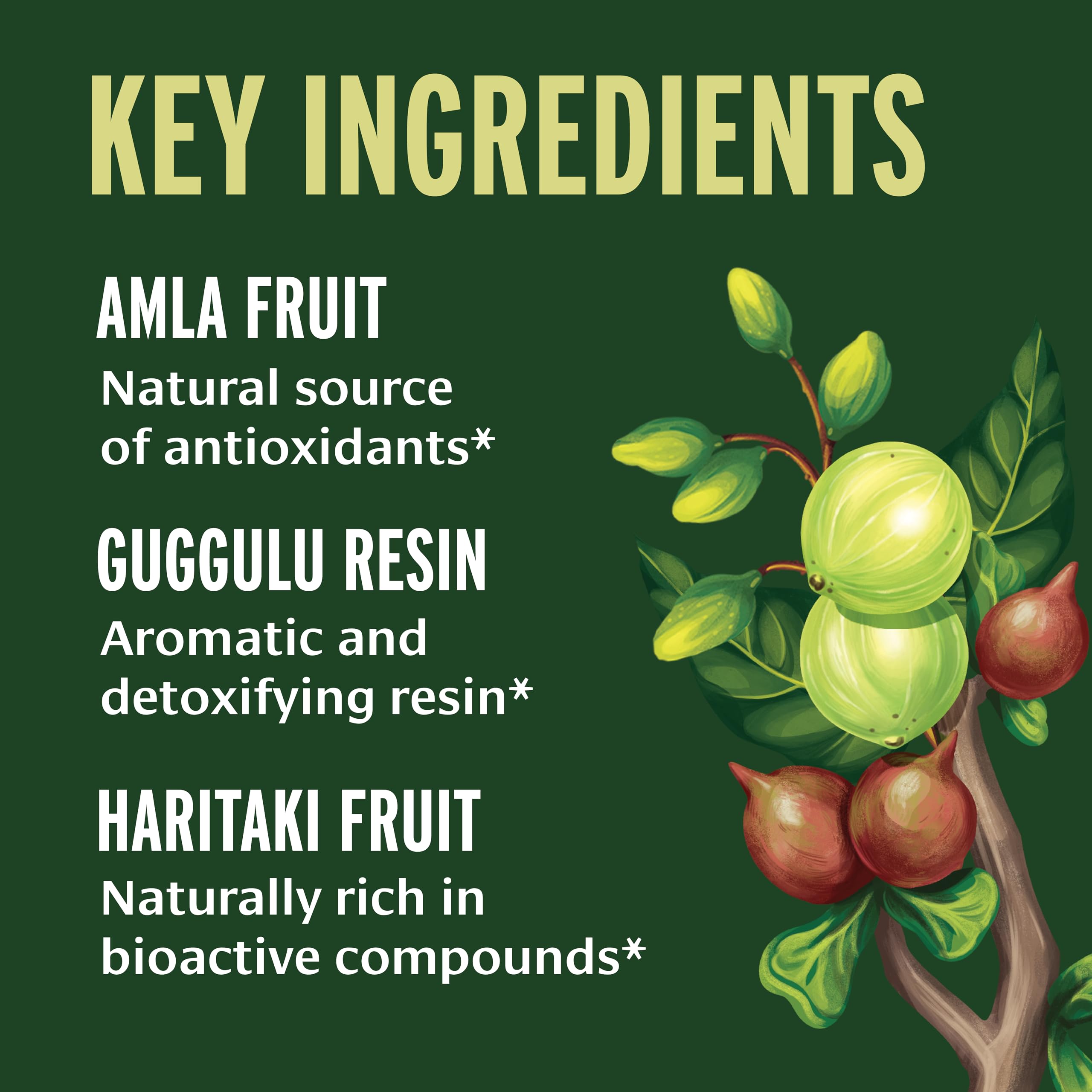 Organic ingredients: bibhitaki, haritaki, amla with guggulu resin