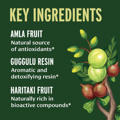 Banyan Botanicals Triphala Guggulu label detail highlighting organic ingredients for a mindful routine.