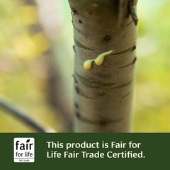 Label highlighting vegan and non-GMO attributes
