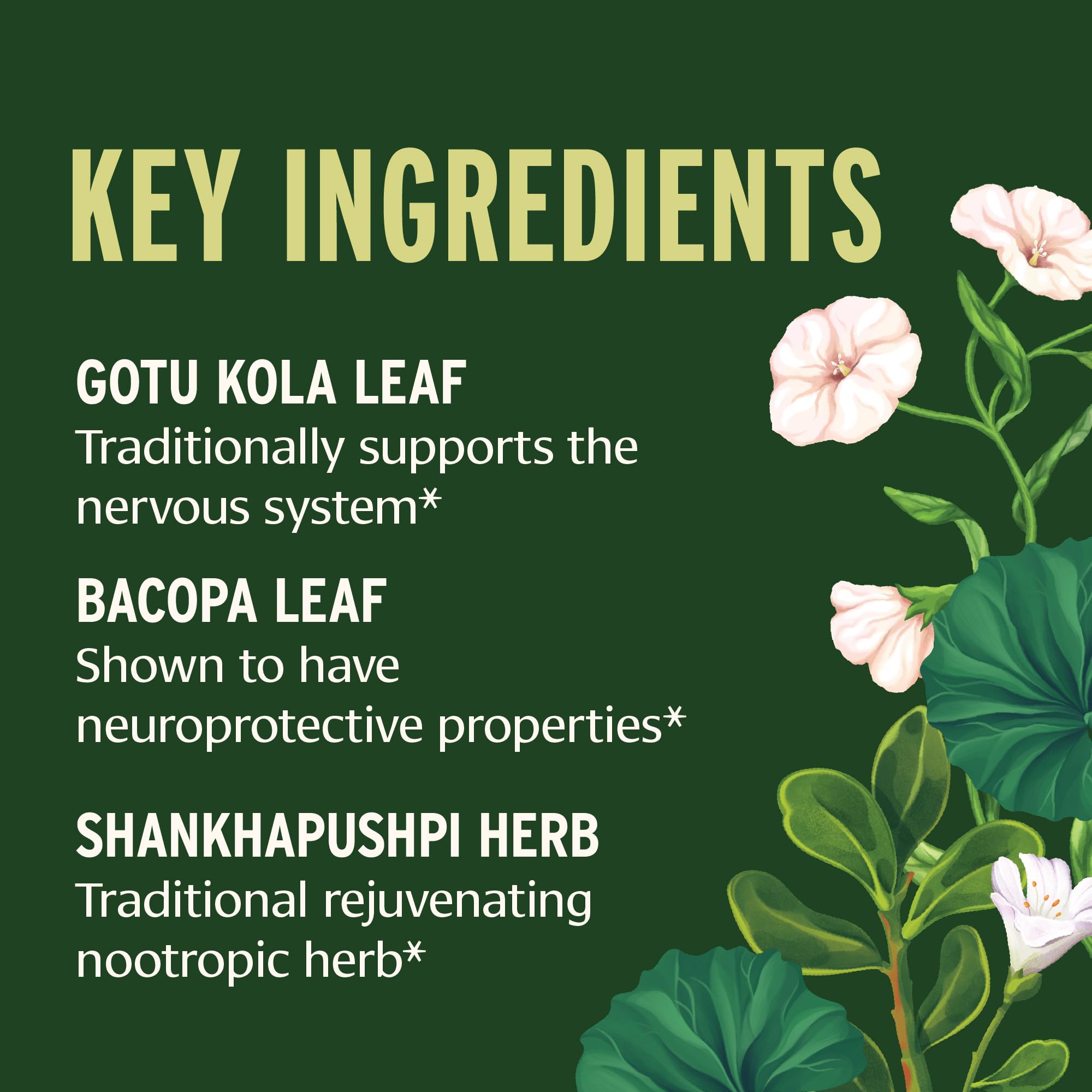 Non-GMO vegan Banyan Botanicals packaging and label