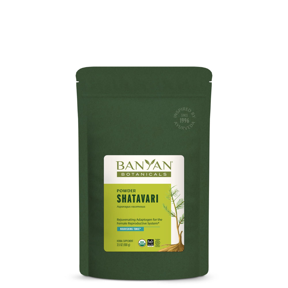 Close-up of Banyan Botanicals Shatavari powder in a scoop