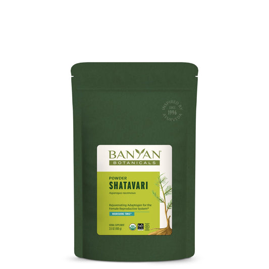 Close-up of Banyan Botanicals Shatavari powder in a scoop