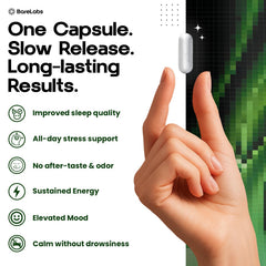 Graphic highlighting 300mg Ashwagandha root extract and 12-hour release tech