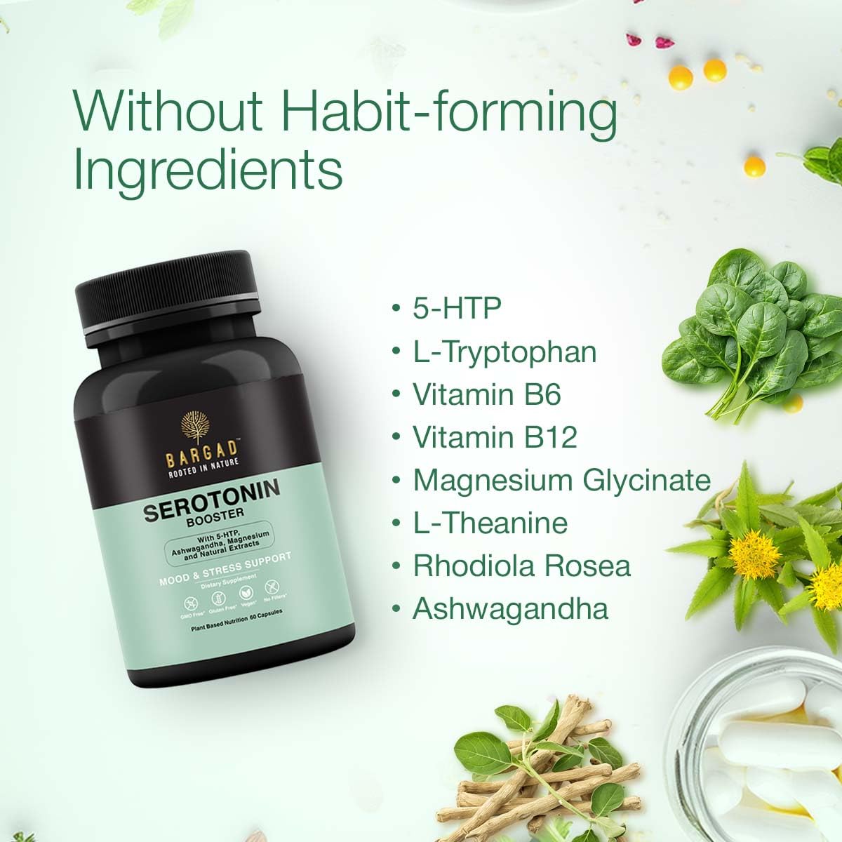 Vitamin B12 helps absorption of serotonin precursors