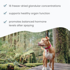 Concentrates derived from range-fed cows and pigs used in the product