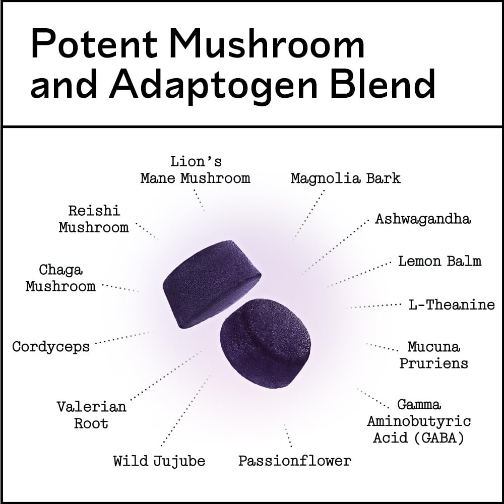 Graphic showing mushroom blend: Chaga, Reishi, Lion’s Mane, Cordyceps