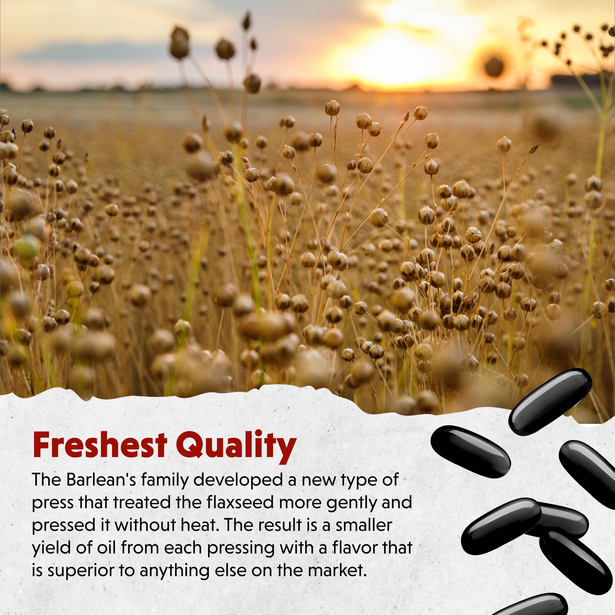 Close-up image showing 1550 mg ALA per serving flaxseed oil