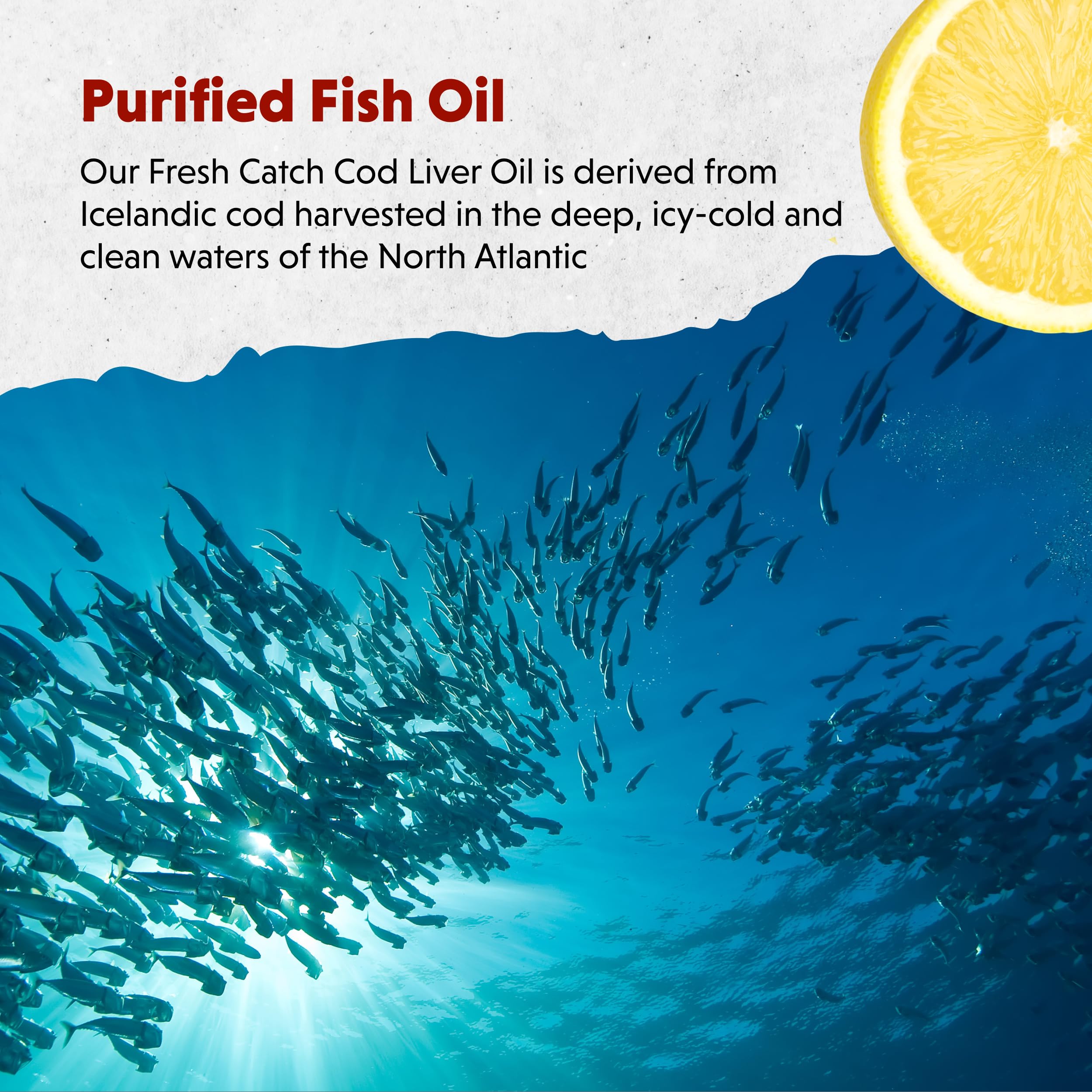 Sustainably sourced North Atlantic cod liver oil liquid