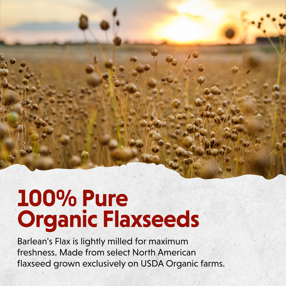 Flax seeds highlighting omega-3, fiber and lignans