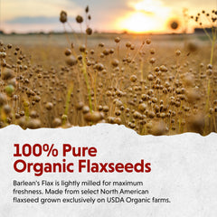 Flax seeds highlighting omega-3, fiber and lignans