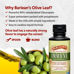 Premium Spanish olive leaves used in Barlean's formula