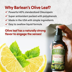 Close-up of olive leaf extract ingredients