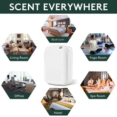 Office/spa room ambiance with Barthelemy diffuser in use