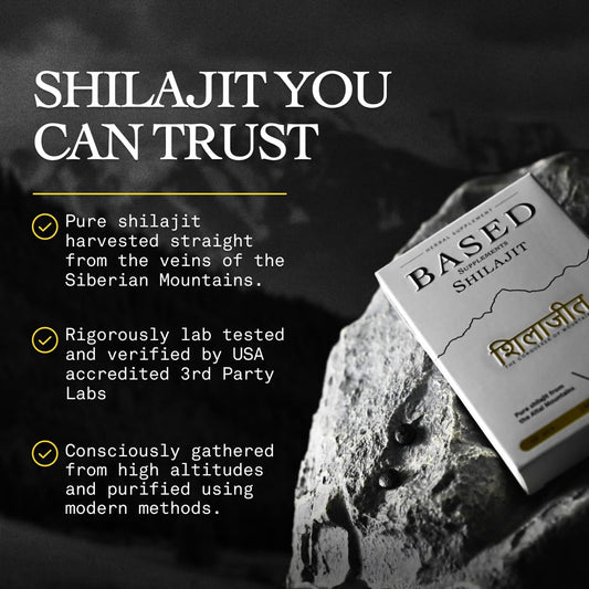 Close-up of a single Based Shilajit tablet