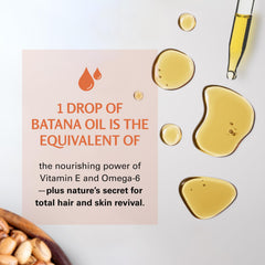 Honduras-sourced Batana oil product shot