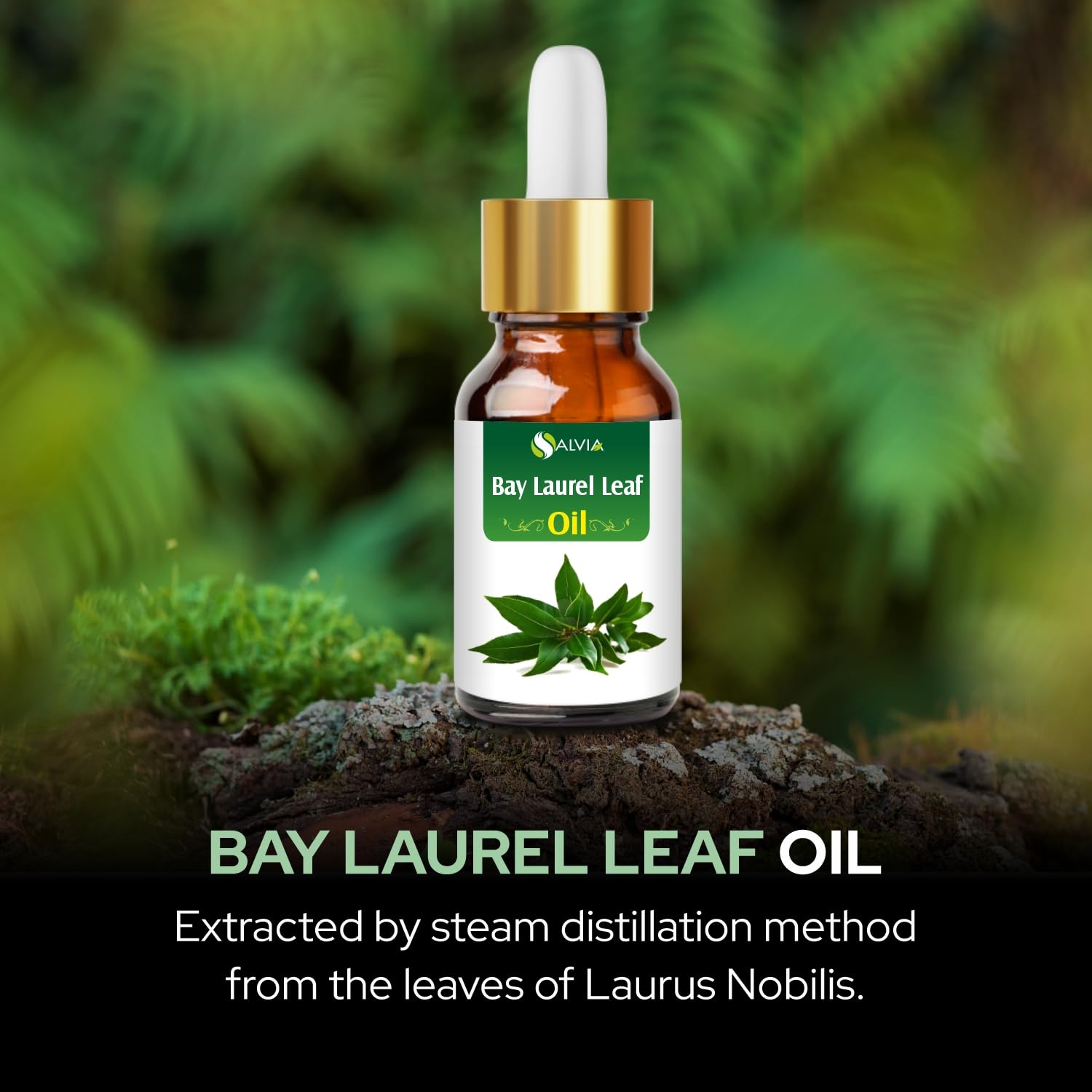 Aromatherapy and personal care use of bay laurel leaf oil