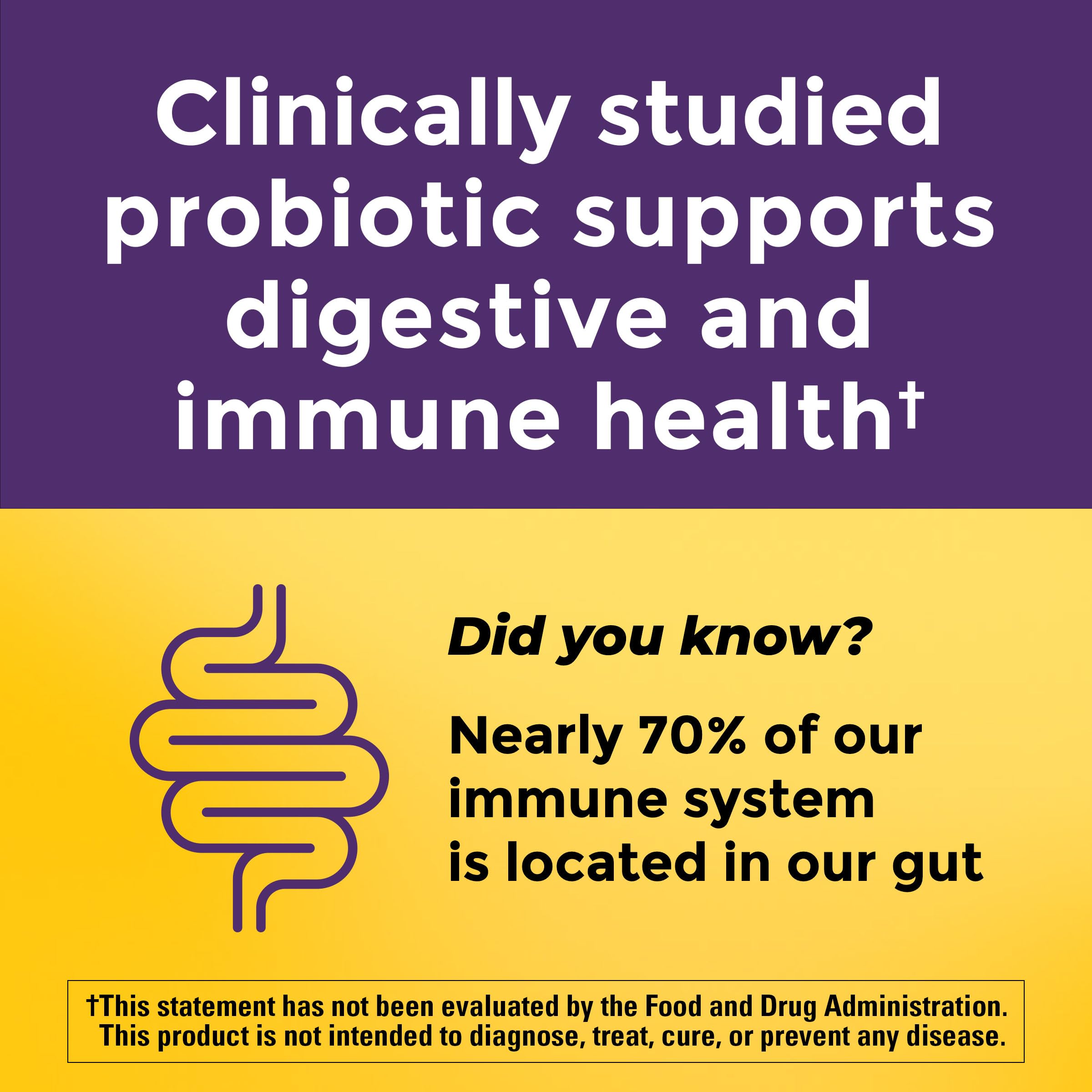 Graphic of BB-12 probiotic strain