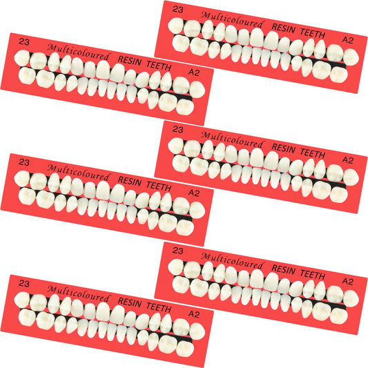 Six sets of acrylic resin fake teeth with 168 total pieces in A2 shade