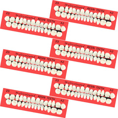 Six sets of acrylic resin fake teeth with 168 total pieces in A2 shade